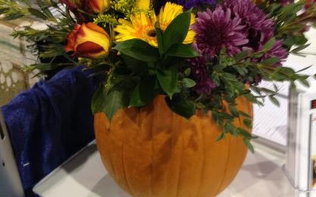 nfda-2012-15.jpg
